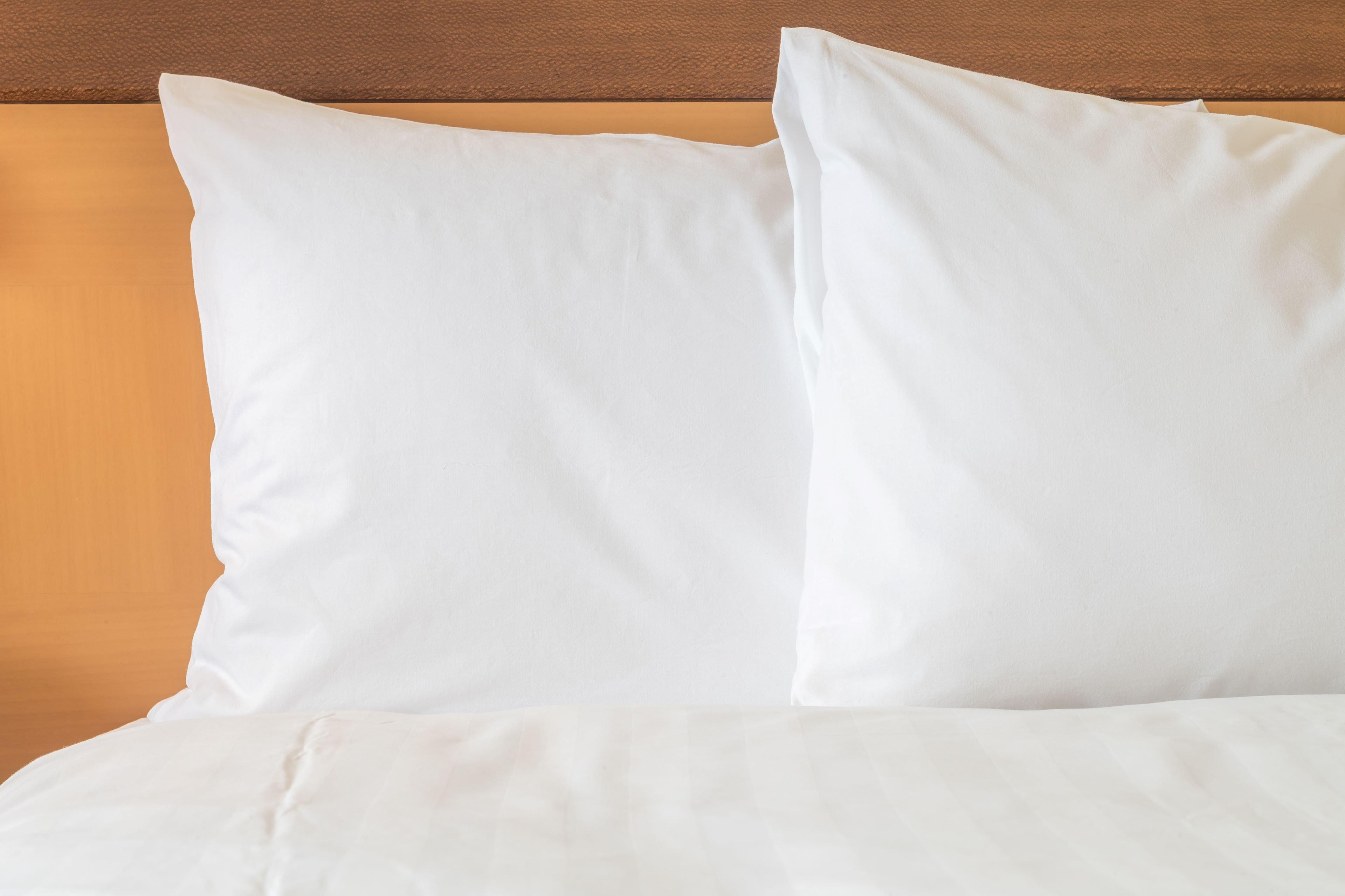 Holiday Inn Express Hotel & Suites Ashland By Ihg Dış mekan fotoğraf